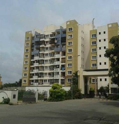 purva-belmont Elevation Elevation