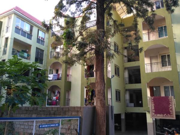 Elevation green-forest Elevation