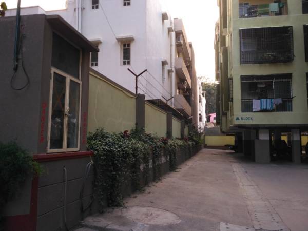 Others green-forest Others