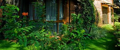 Images for Amenities of Total Environment Scarlet Begonias