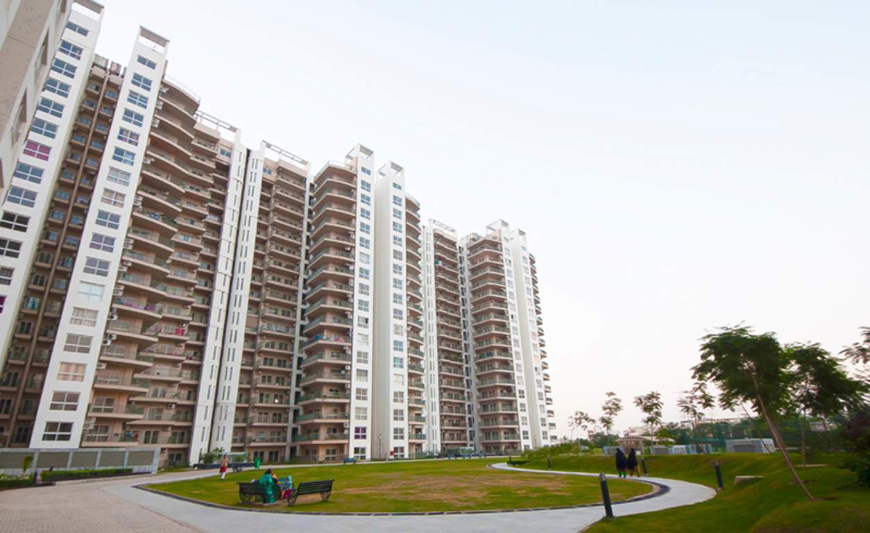  privy Images for Elevation of Spaze Privy