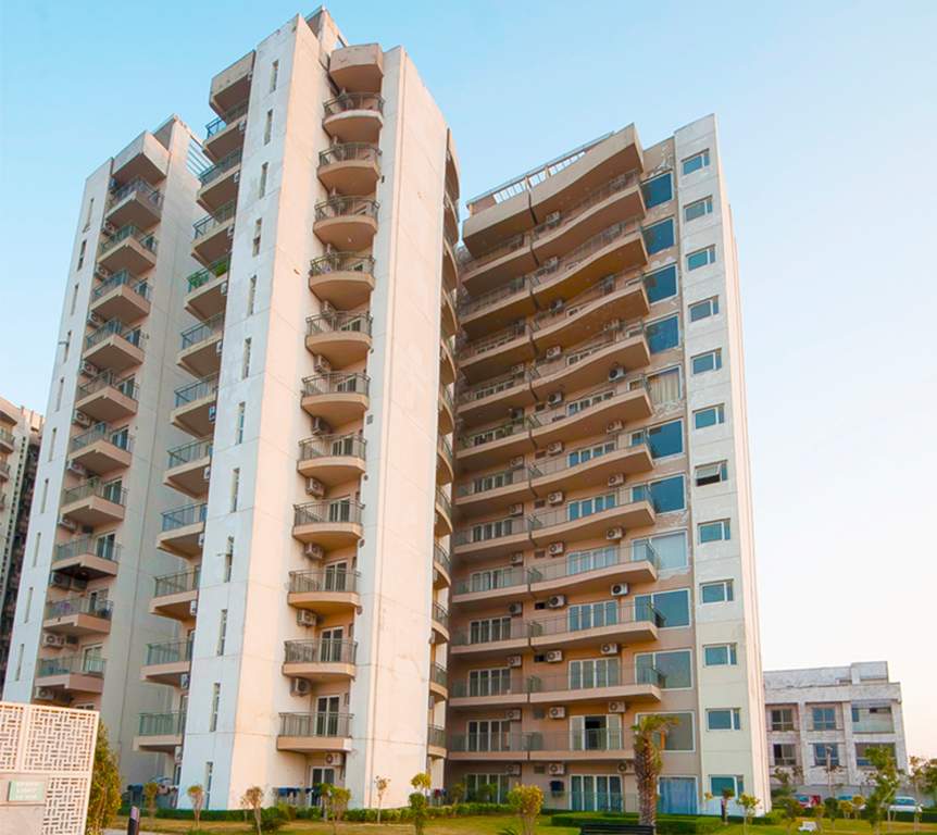  privy Images for Elevation of Spaze Privy