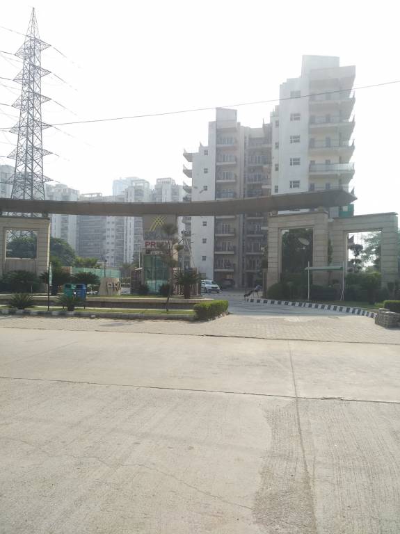  privy Images for Project