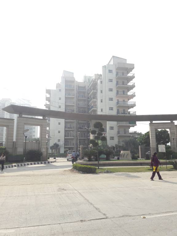  privy Images for Project