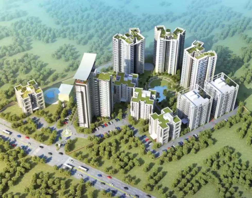  privy Images for Project