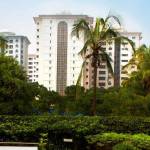  millennium-jacaranda Images for Elevation of Brigade Millennium Jacaranda