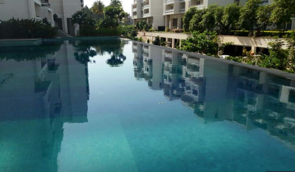 jharoka phase 2 Swimming Pool