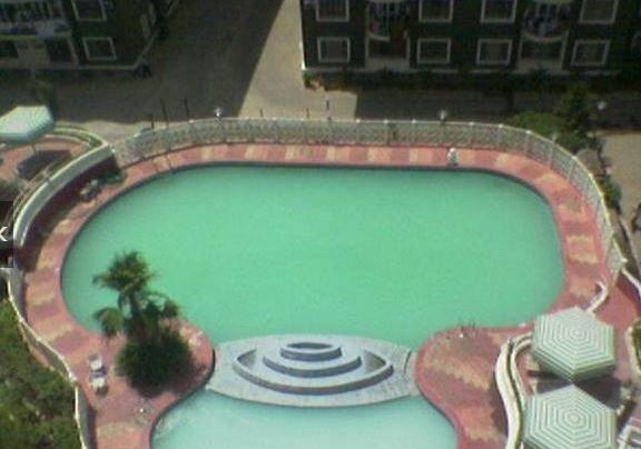 Swimming Pool residency Swimming Pool