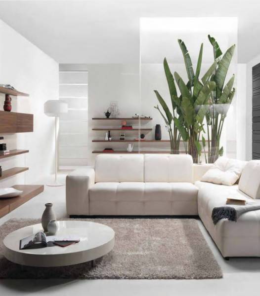 Images for Main Other of Ozone Metrozone