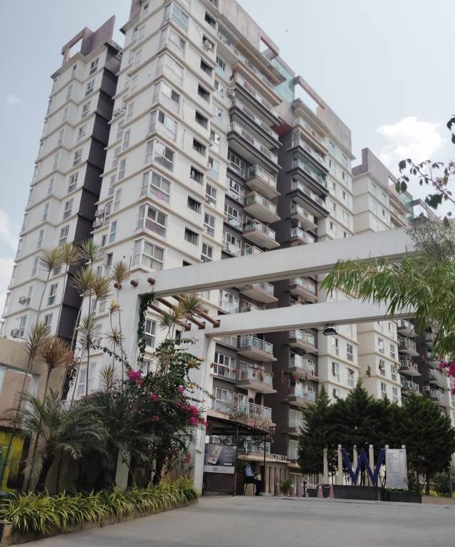  water mark Elevation