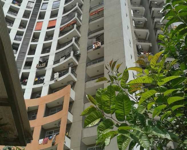 orange county Elevation