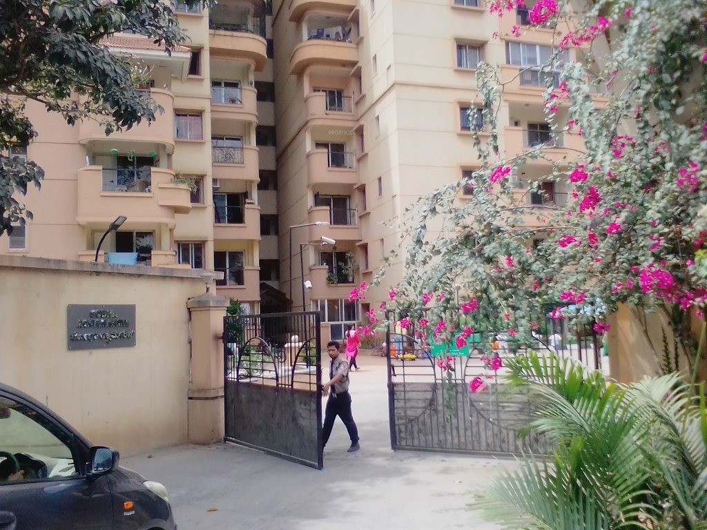  aquamarine Elevation