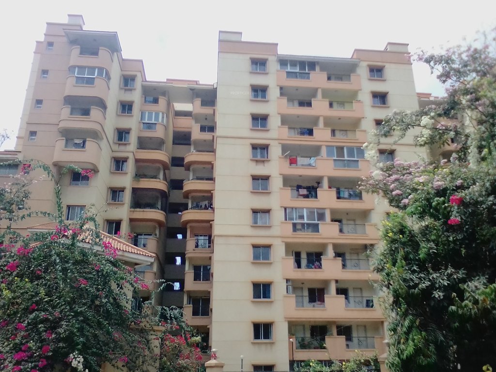  aquamarine Elevation