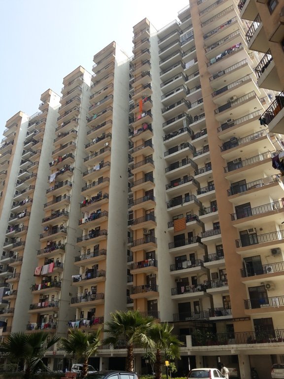  primrose Images for Project