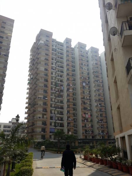  primrose Images for Project