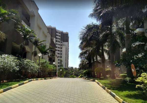 Paved Compound sunscape Paved Compound