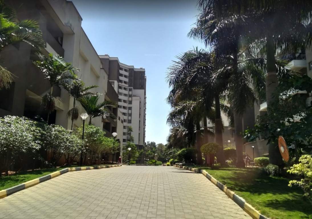  sunscape Paved Compound