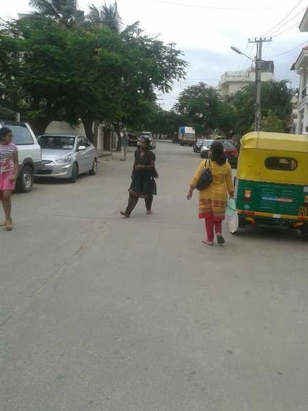  meadows Internal Roads