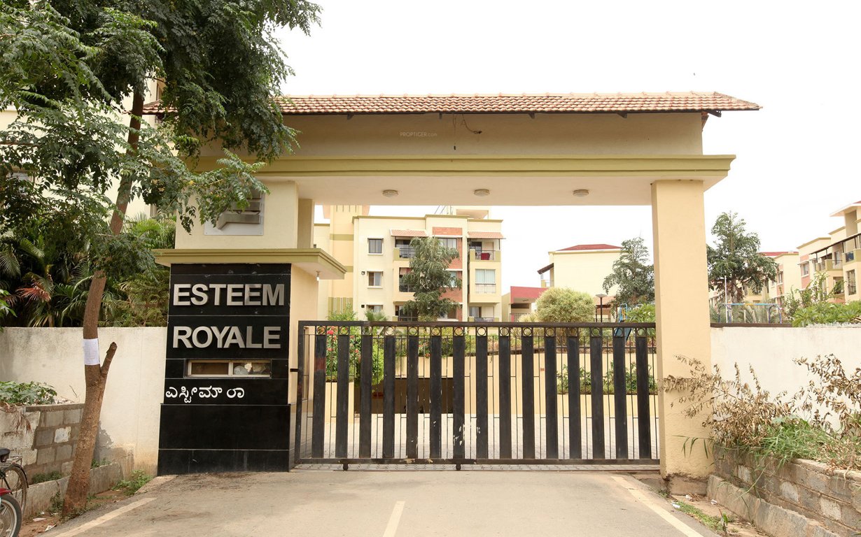esteem group royale Elevation