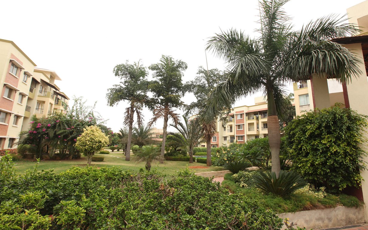 esteem group royale Elevation