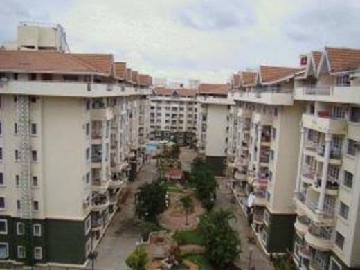 oakwood Elevation Elevation