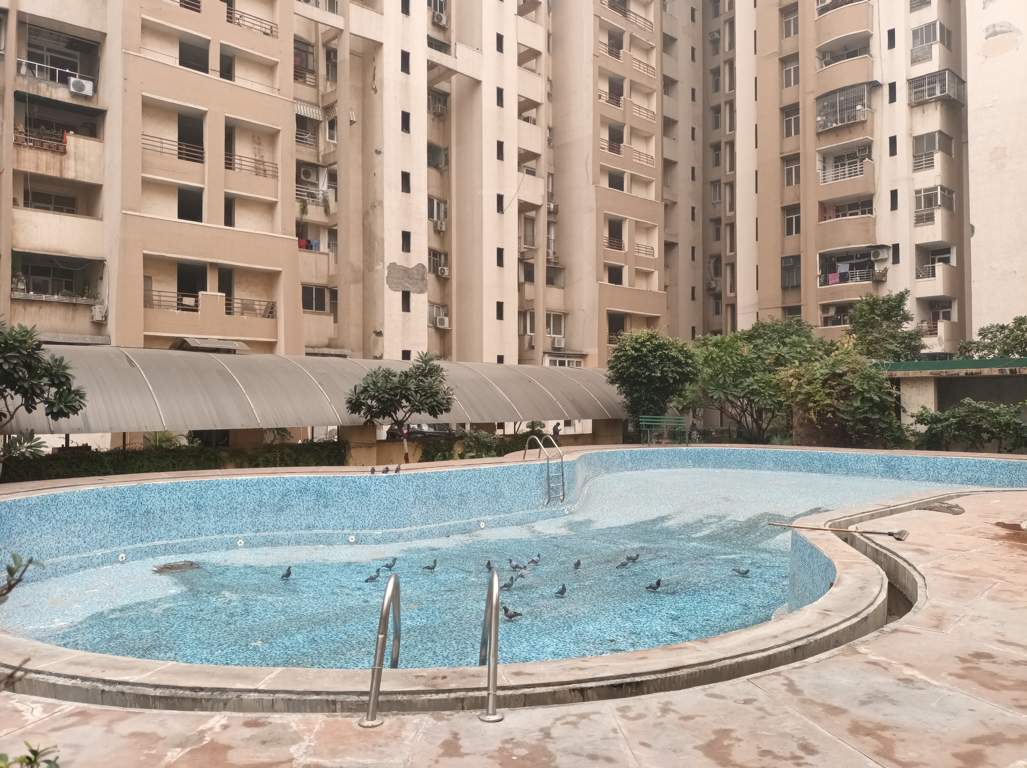  sunrise greens apartment Swimming Pool