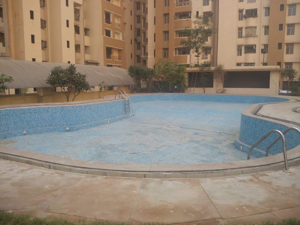  sunrise greens apartment Swimming Pool