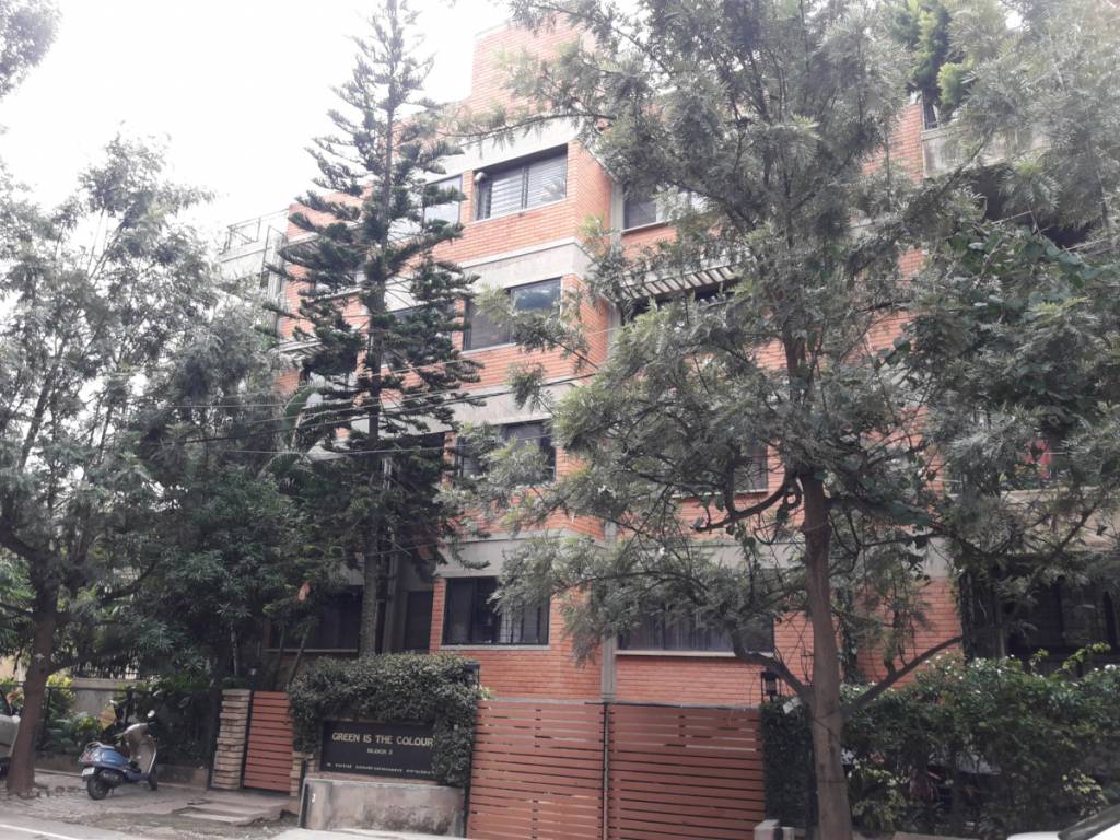  green is the colour Elevation