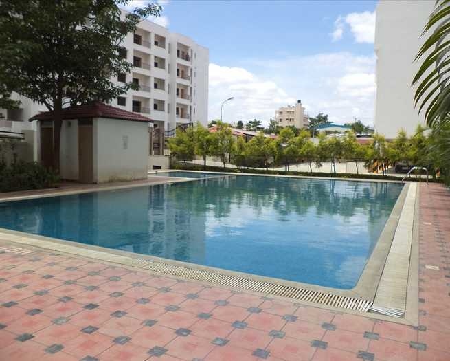  janhavi shelters Swimming Pool