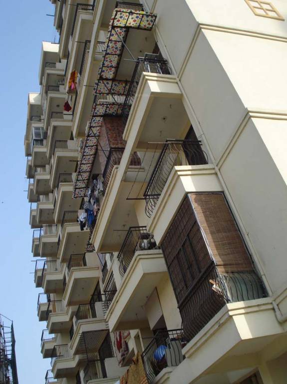 Images for Elevation of Charms India Solitaire