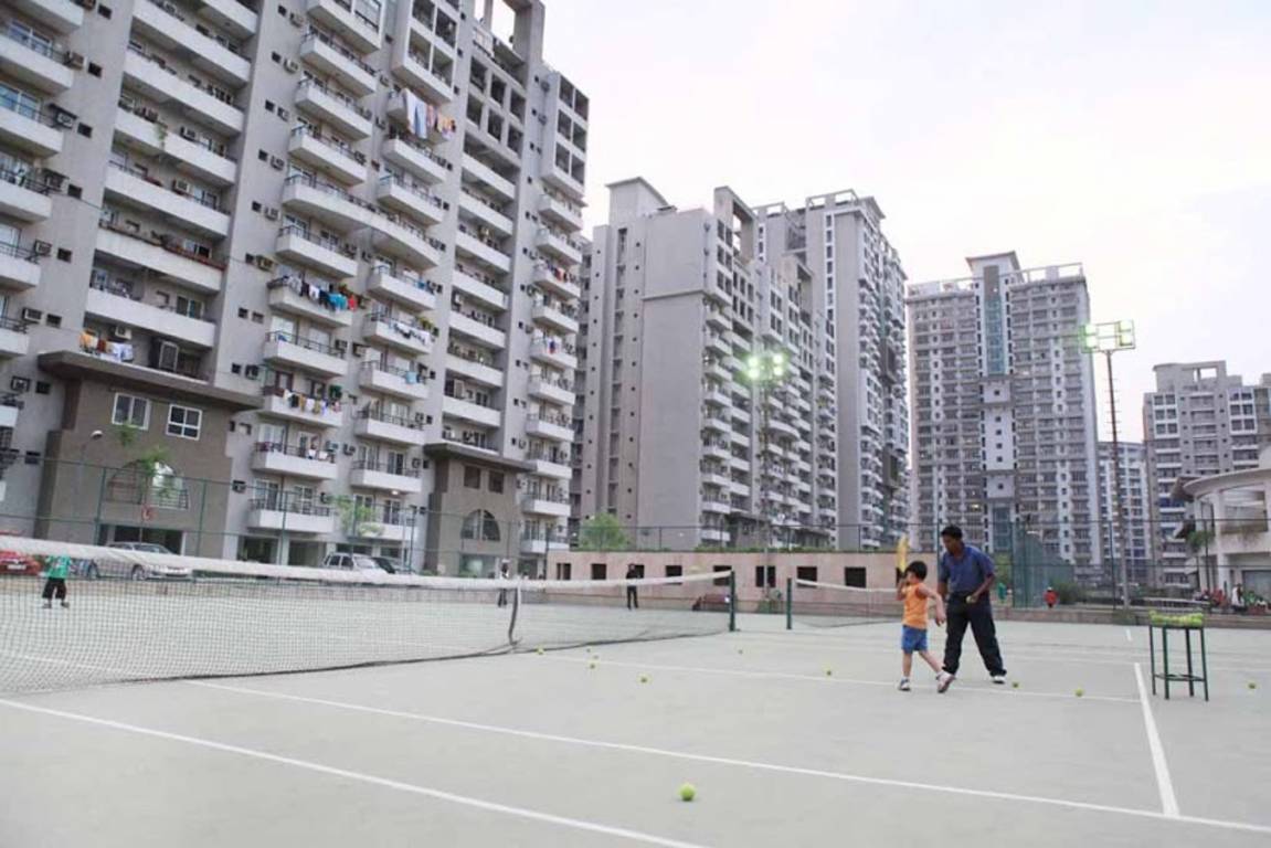 windsor park Elevation