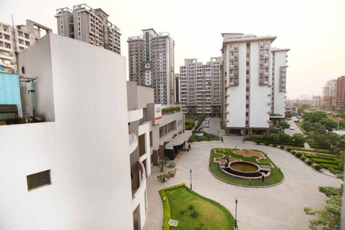 windsor park Elevation