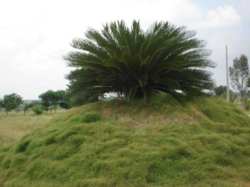 Images for Main Other of Vasundhara Lorven City