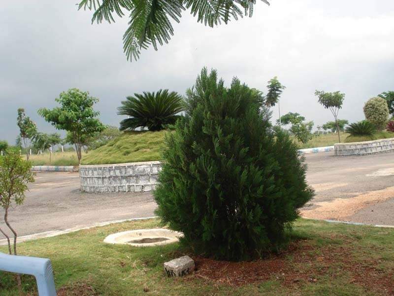 Images for Main Other of Vasundhara Lorven City