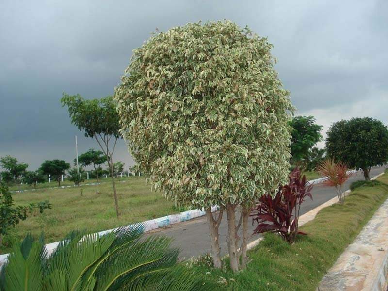 Images for Main Other of Vasundhara Lorven City