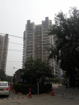 Images for Project Images for Project