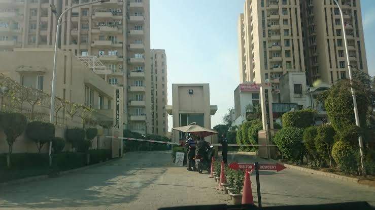  delight and splendours Elevation