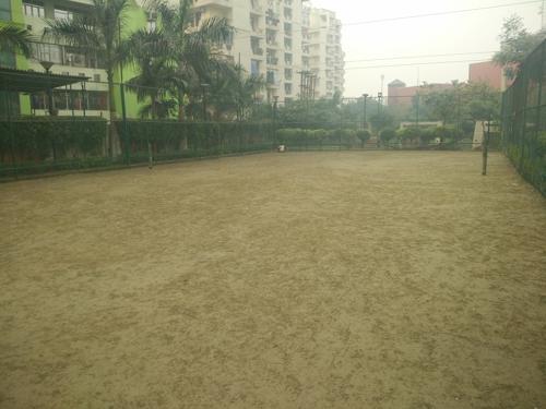  eden-park-1 Landscape Garden and Tree Planting