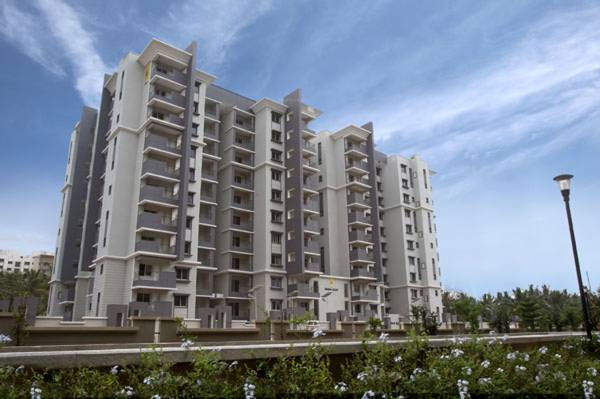 Images for Elevation of Sobha Daisy