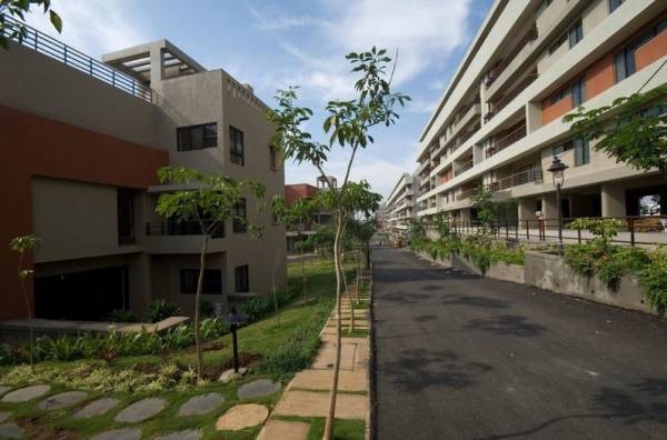  the-woods Internal Roads