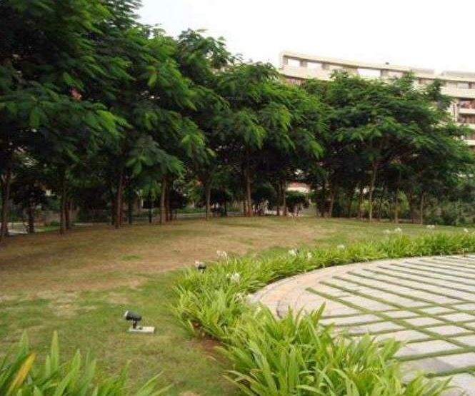  the woods Landscaped Gardens