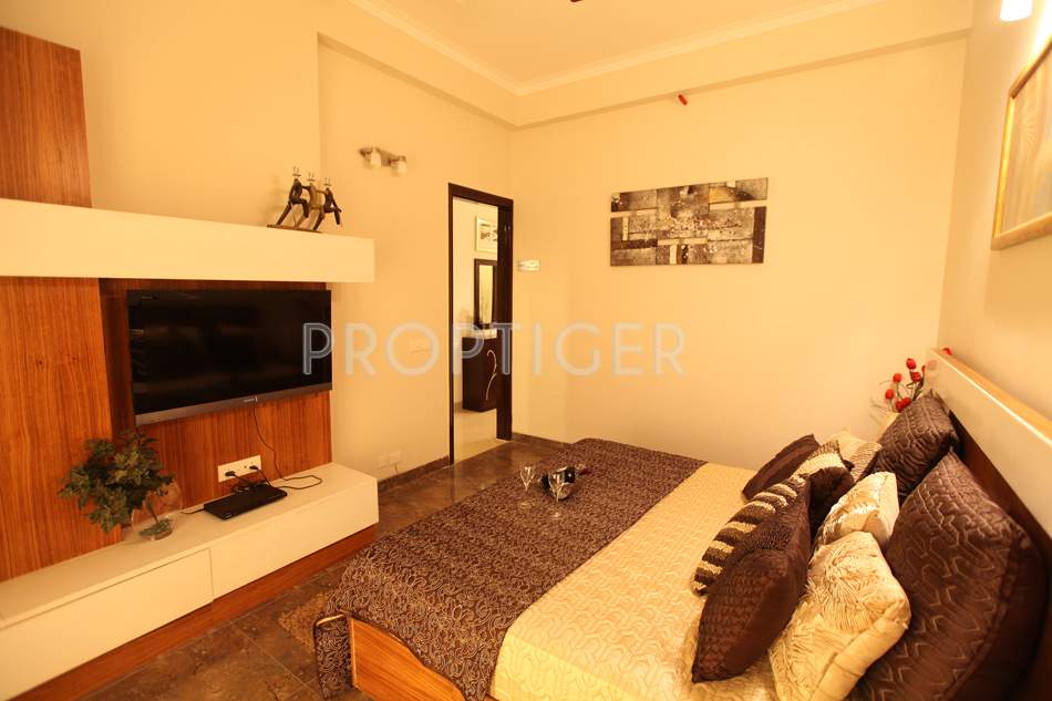  zenith Images for Main Other of Saya Zenith