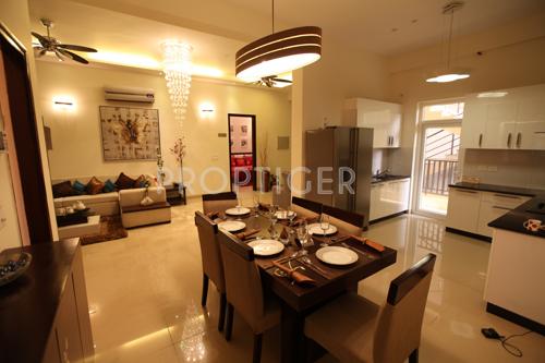 Images for Main Other of Saya Zenith zenith Images for Main Other of Saya Zenith