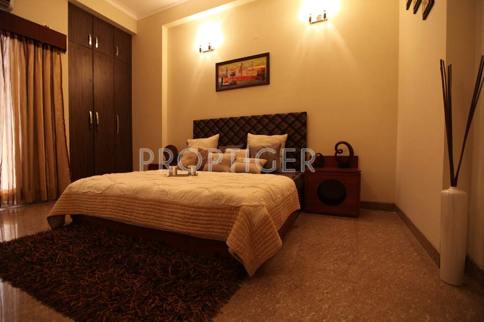  zenith Images for Main Other of Saya Zenith