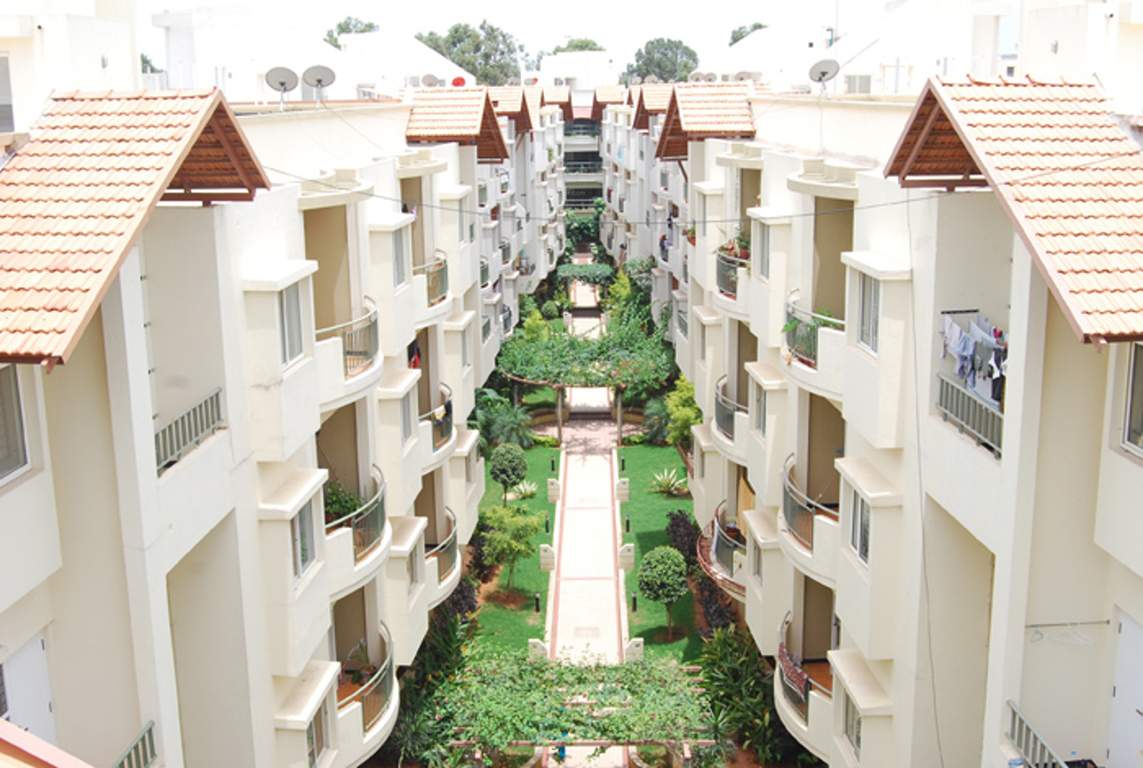  breeze Images for Elevation of Oasis Breeze