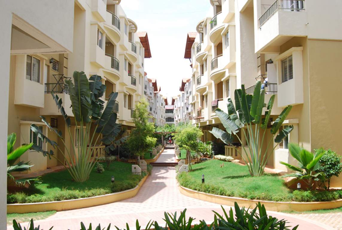  breeze Images for Elevation of Oasis Breeze