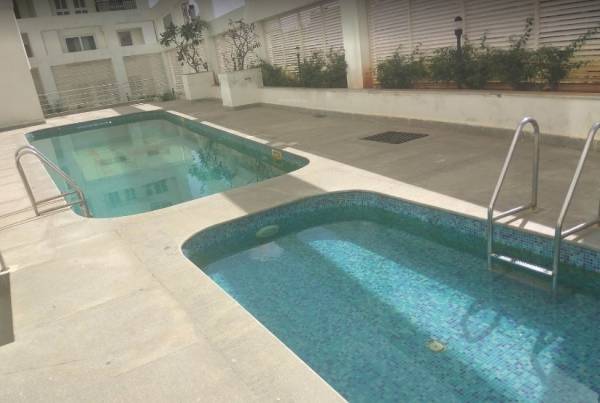 Swimming Pool maple Swimming Pool