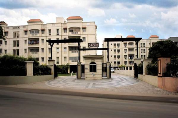 ceebros orchid Elevation