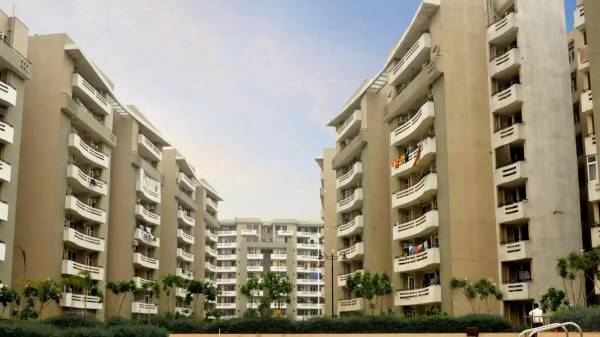 Elevation gulmohur-greens Elevation