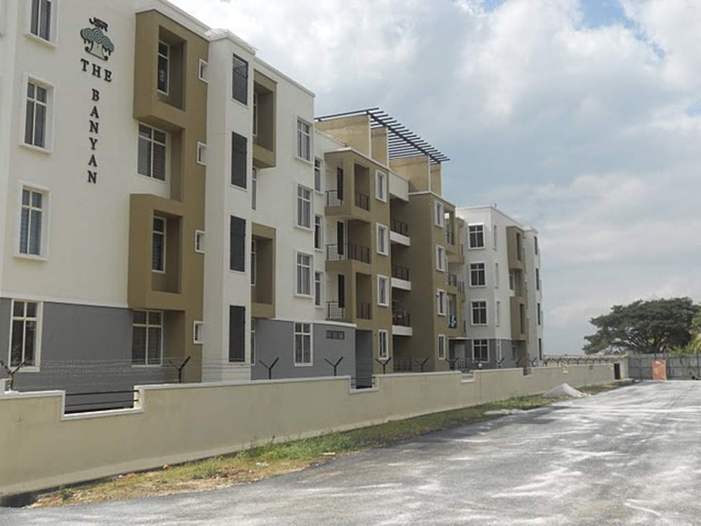 the banyan Images for Elevation of JSR The Banyan